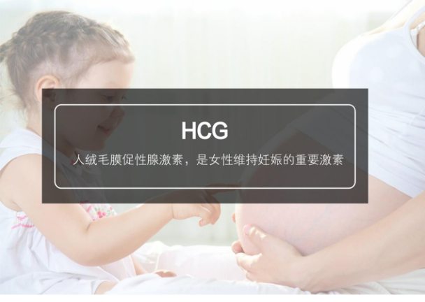 安琪儿血HCG早孕检查好吗?